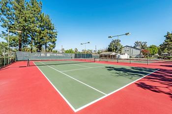 Tennis court